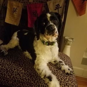 Meet your Posher, Bertie willis